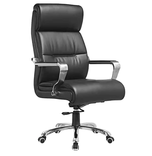 Director Chair